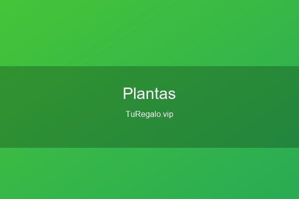 Mejores Plantas para Regalar