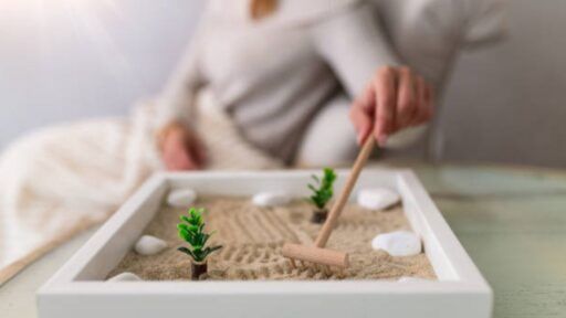 Regalos ecologicos y sostenibles